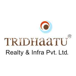 Tridhaatu Realty & Infra Pvt Ltd logo